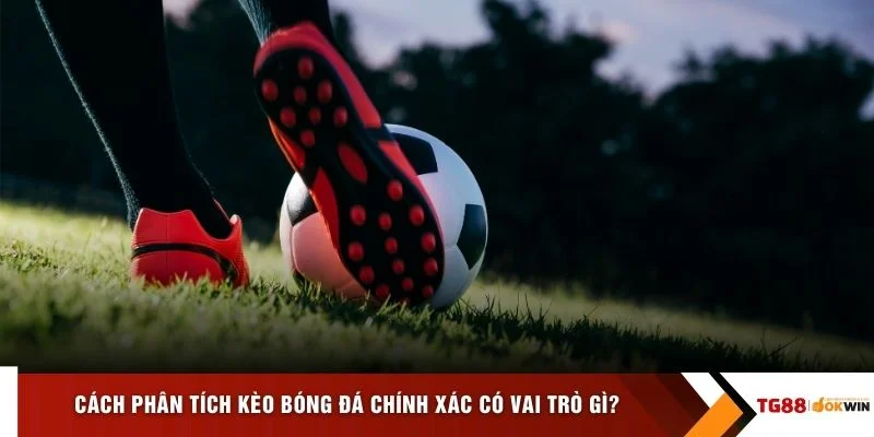 Cách phân tích kèo bóng đá chính xác có vai trò gì?