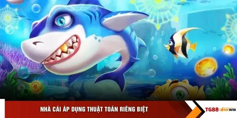 Nhà cái áp dụng thuật toán riêng biệt